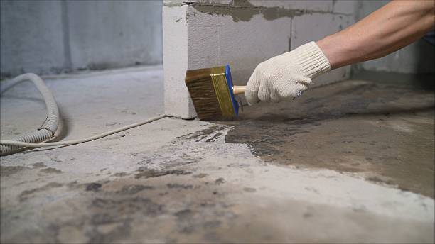 24/7 Emergency Wet Basement Repair experts in Michigan Center, MI